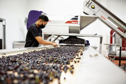 En Playas se producen los galardonados vinos ecuatorianos Dos Hemisferios y se exportan a cinco países