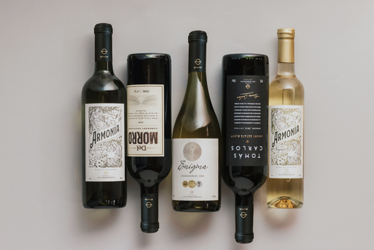 ¿Cómo almacenar y servir tus vinos?