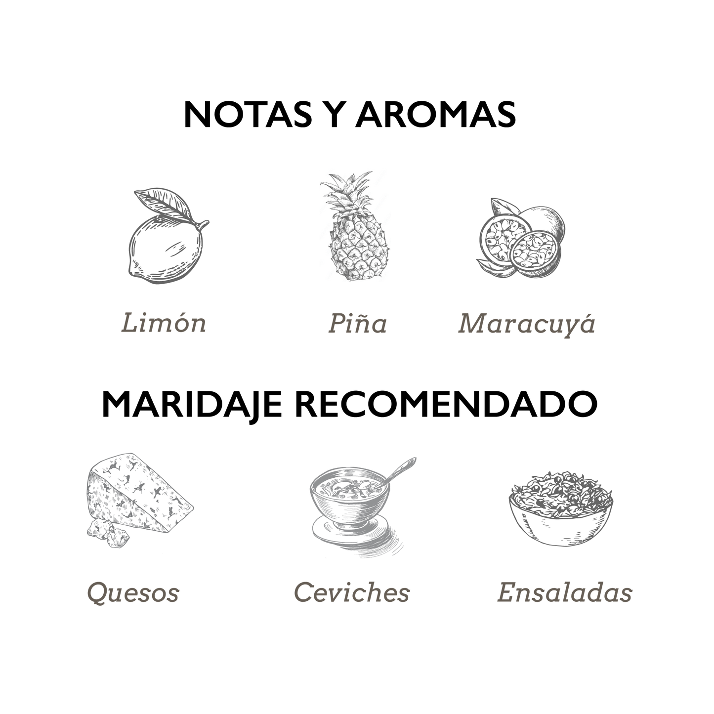 Armonía - Sauvignon Blanc - Bodega Dos Hemisferios