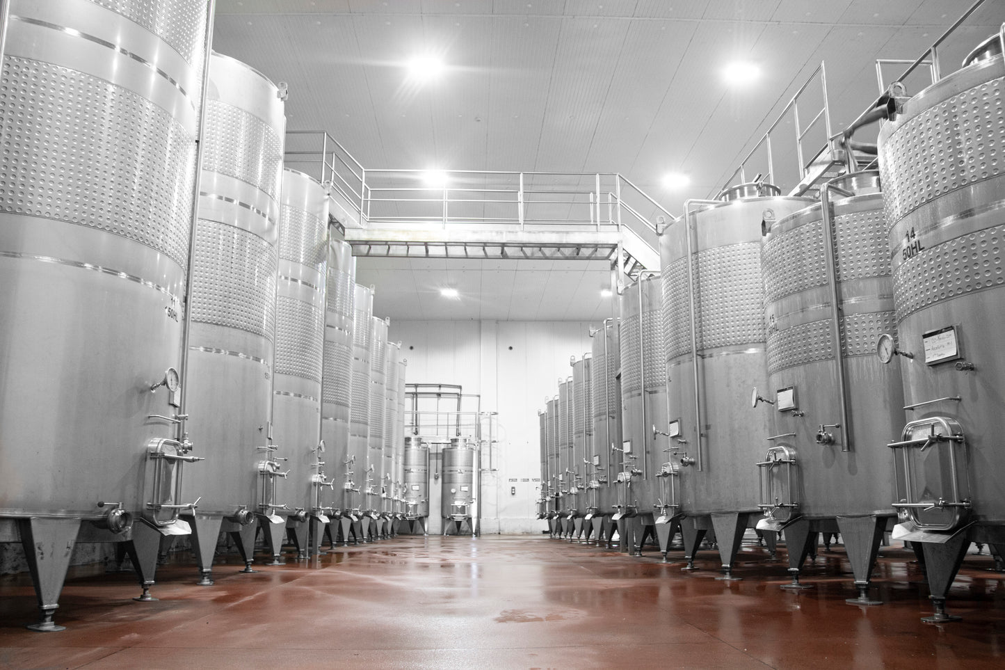 Tour Viñedo & Live Cooking - Bodega Dos Hemisferios