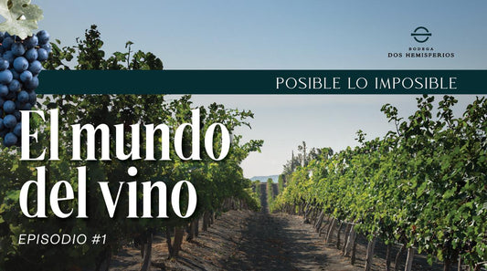 Posible lo imposible: "El Mundo del Vino" - Ep. 1 🍷 By Bodega Dos Hemisferios