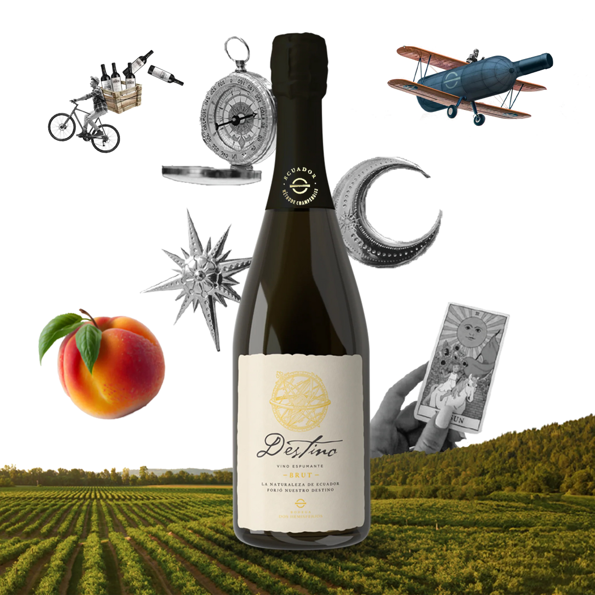 Destino - Nature o Extra Brut - Bodega Dos Hemisferios