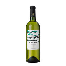 Cargar imagen en el visor de la galería, Bruma - Sauvignon Blanc/Chardonnay - Bodega Dos Hemisferios
