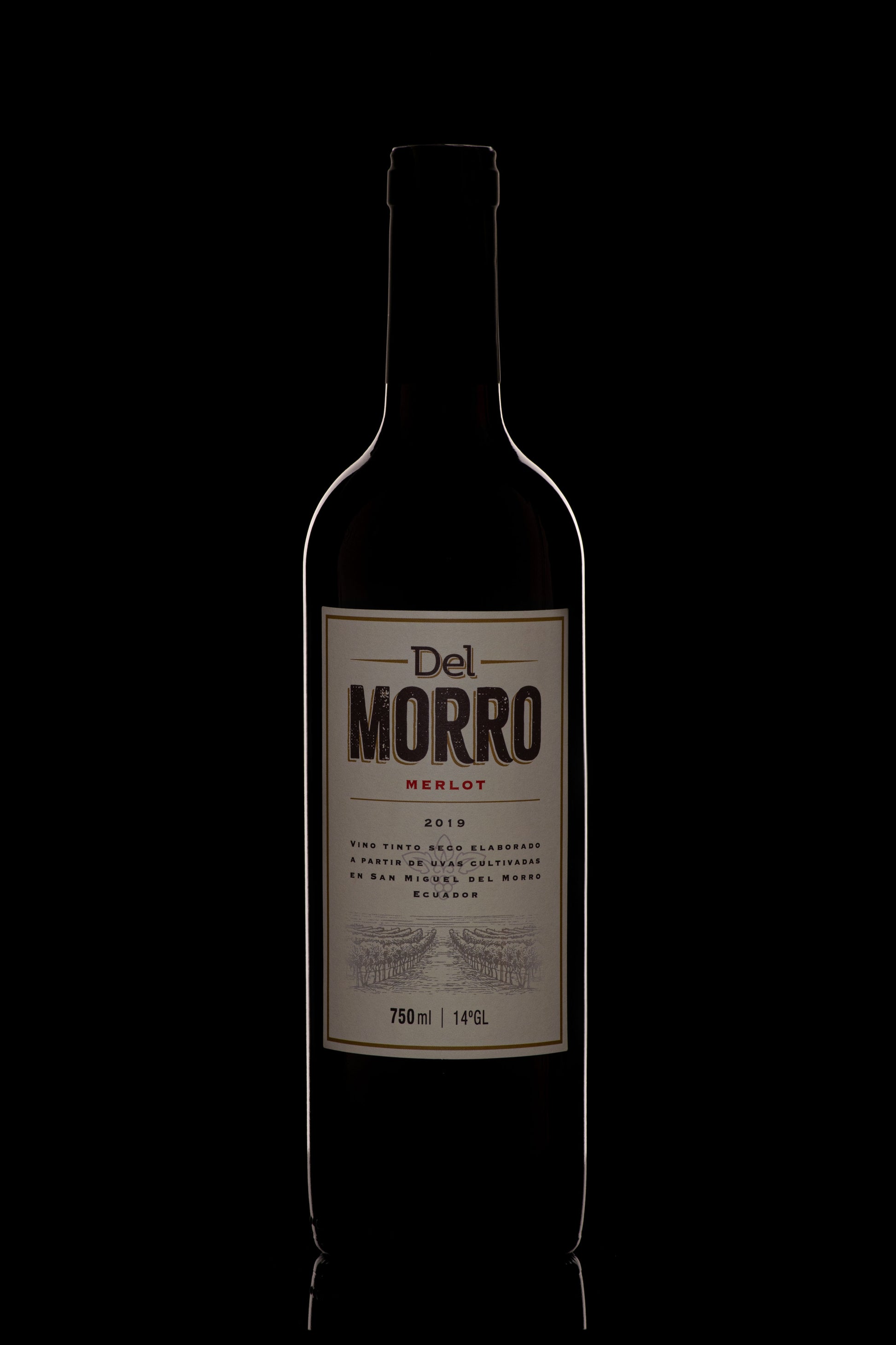 Del Morro - Merlot - Bodega Dos Hemisferios