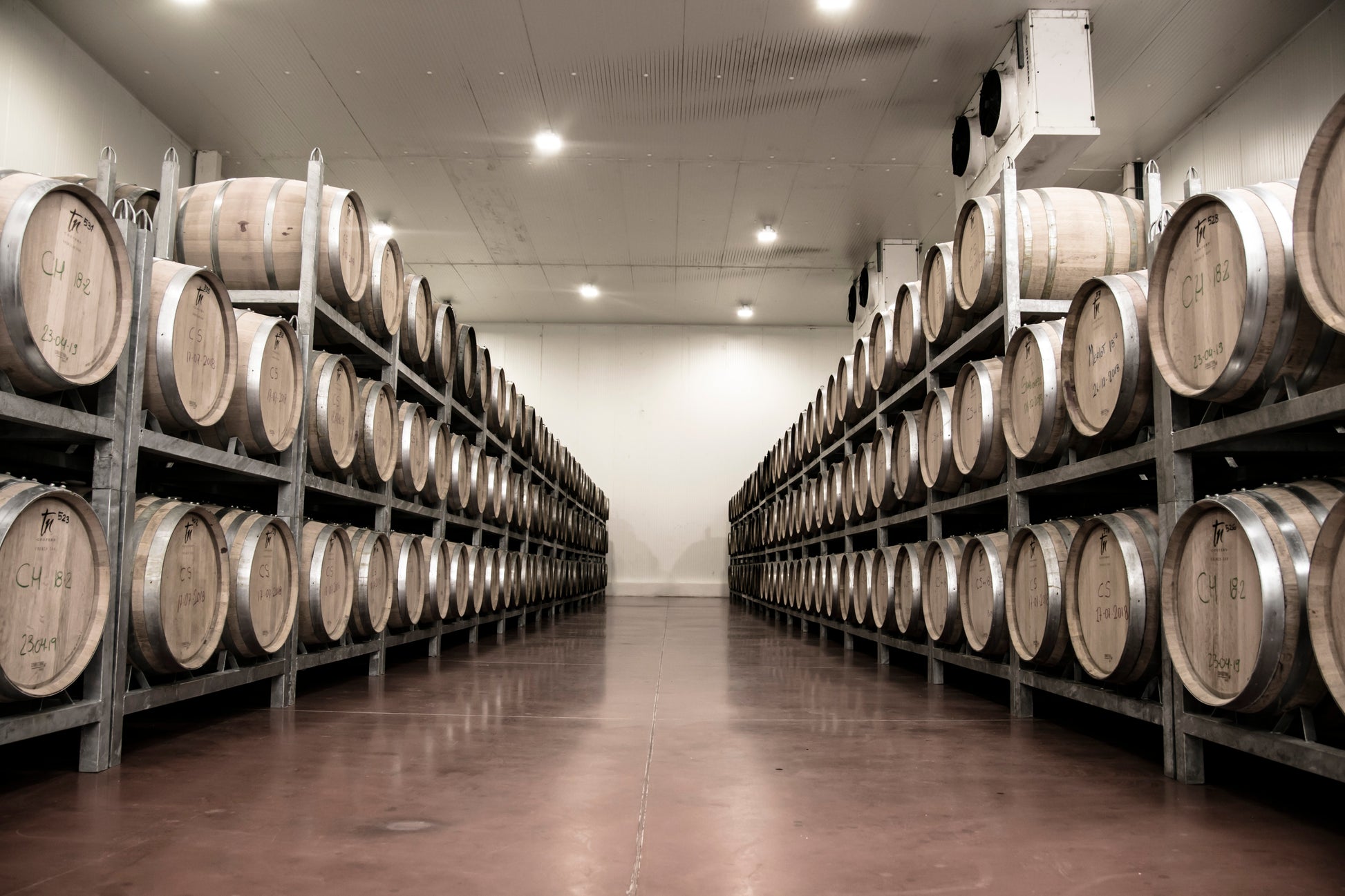 Tour Viñedo & Live Cooking - Bodega Dos Hemisferios